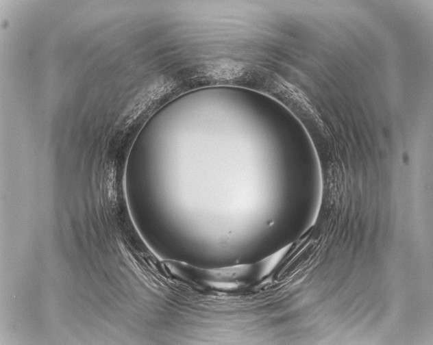 X0000059250212200510171506