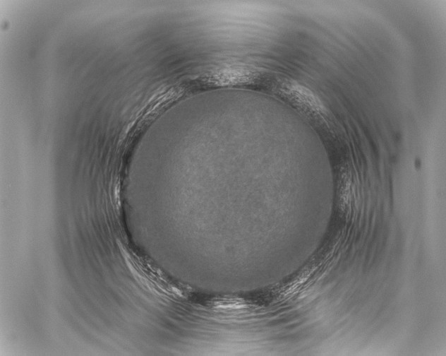 X0000059250214200510171506