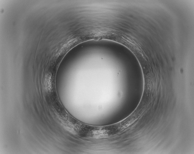 X0000059250216200510171506