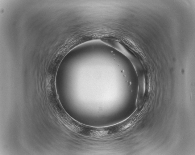 X0000059250217200510171506