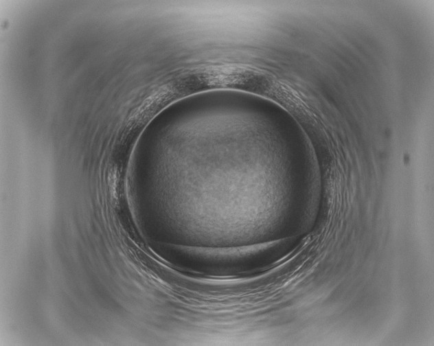 X0000059250219200510171506