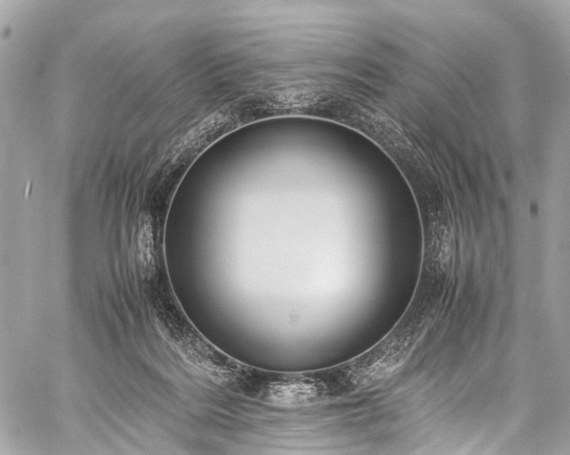 X0000059250220200510171506