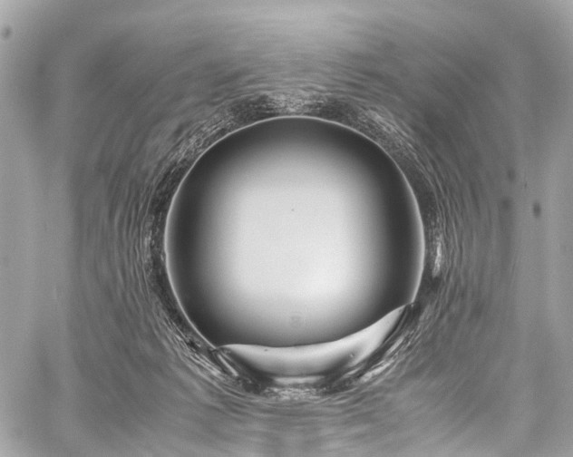 X0000059250221200510171506