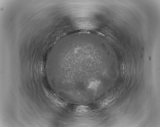 X0000059250222200510171506