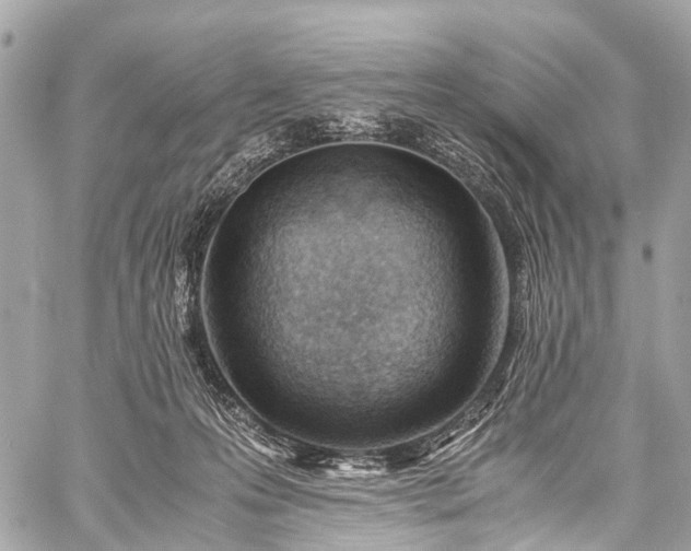 X0000059250223200510171506