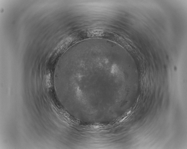 X0000059250224200510171506