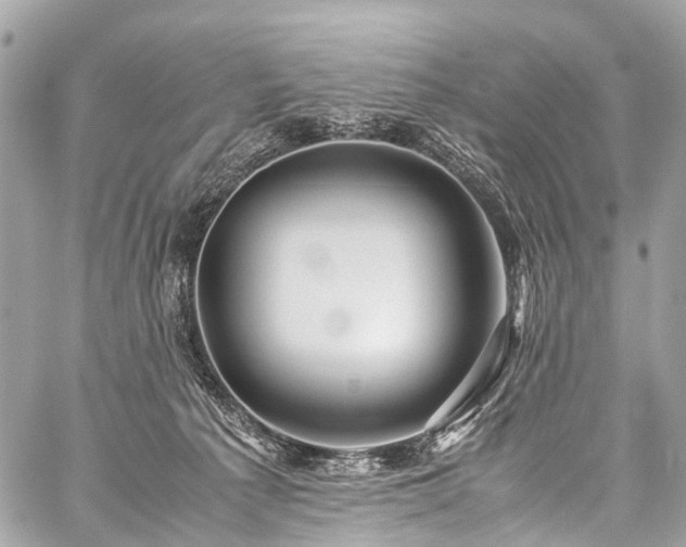 X0000059250225200510171506