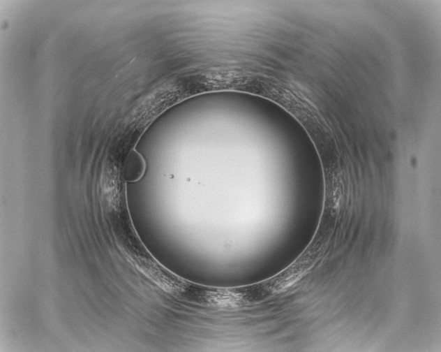 X0000059250226200510171506