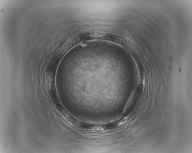 X0000059250227200510171506