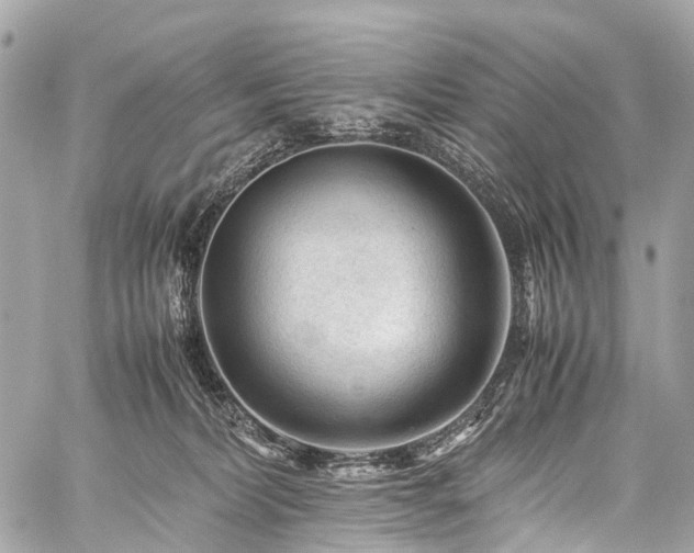 X0000059250228200510171506