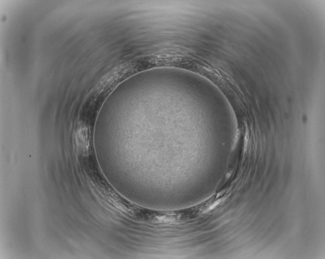 X0000059250232200510171506