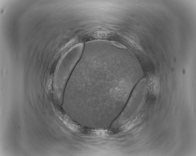 X0000059250233200510171506