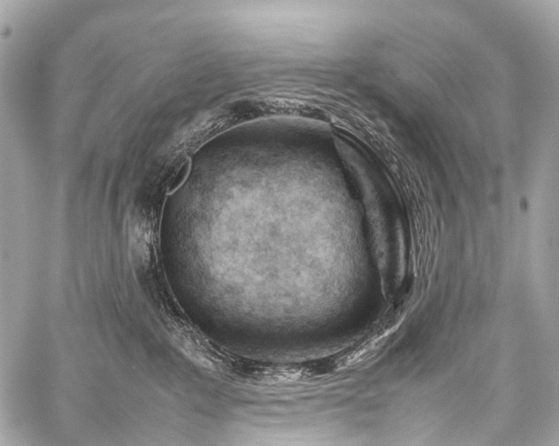 X0000059250235200510171506