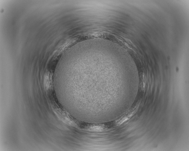 X0000059250236200510171506