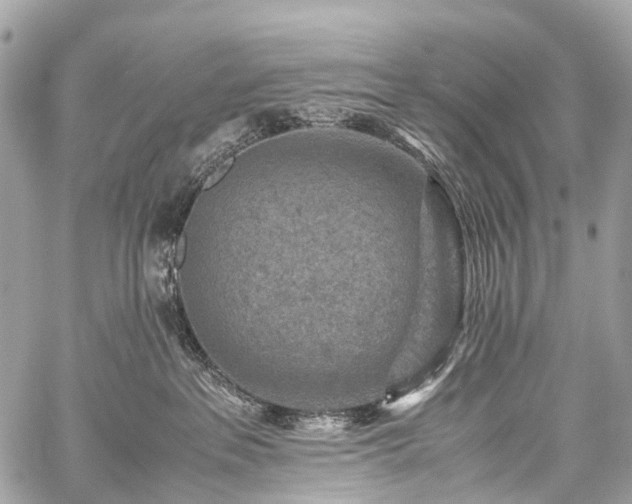 X0000059250237200510171506