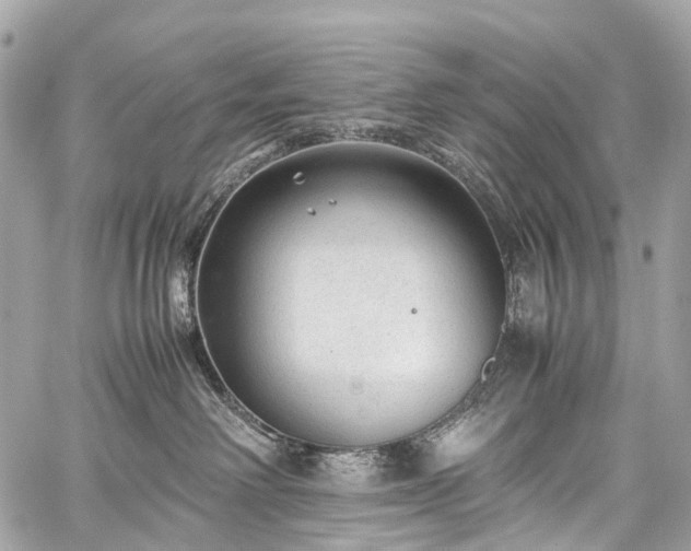 X0000059250238200510171506