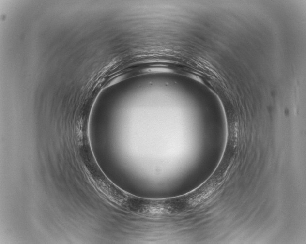 X0000059250264200510171505