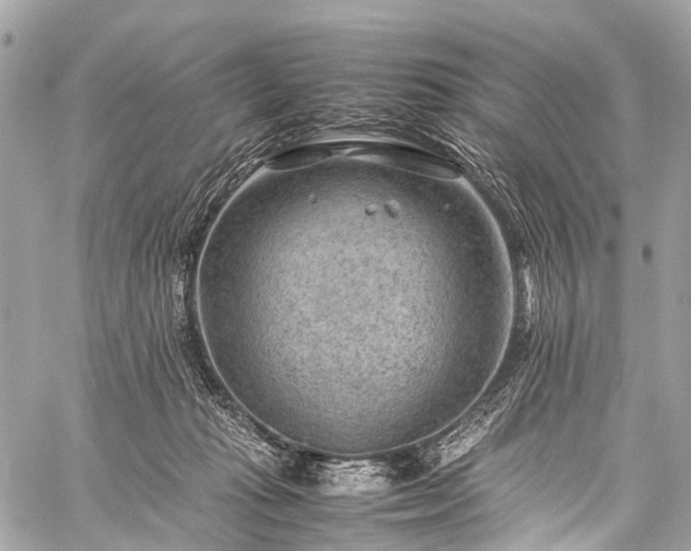 X0000059250269200510171505