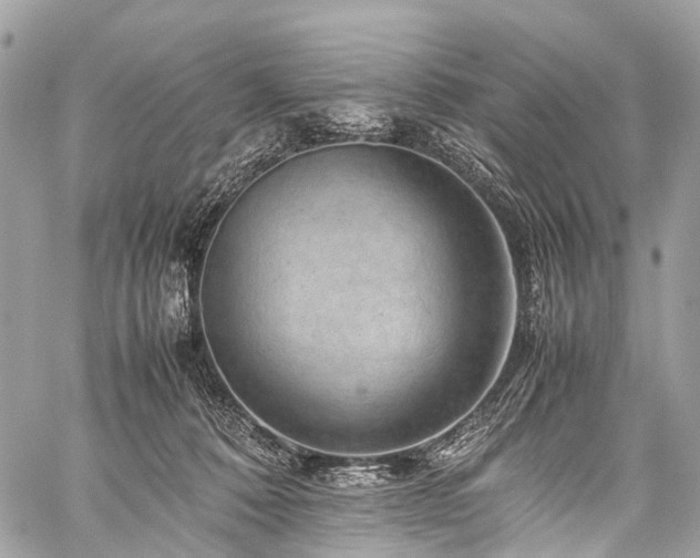 X0000059250320200510171504