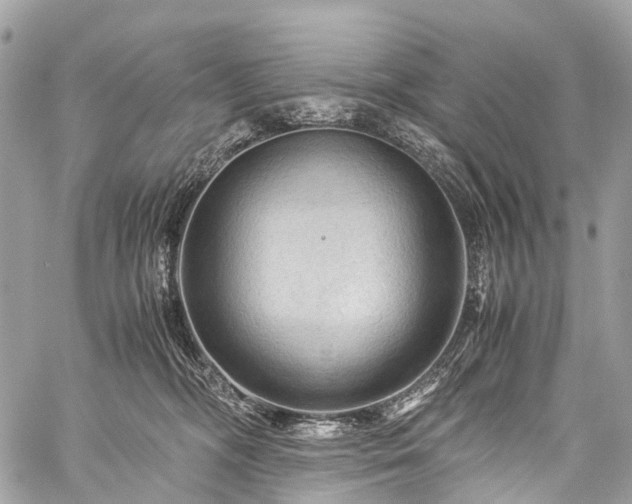 X0000059250326200510171504