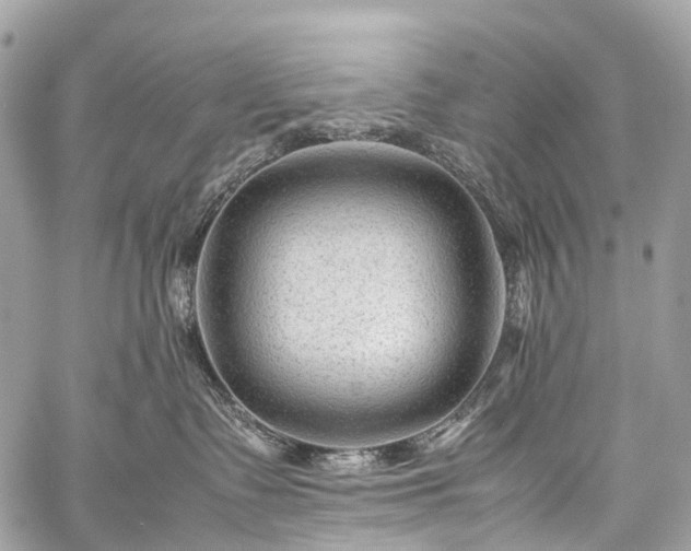 X0000059250335200510171504