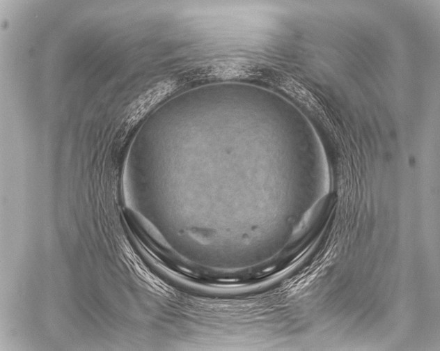 X0000059250393200510171503