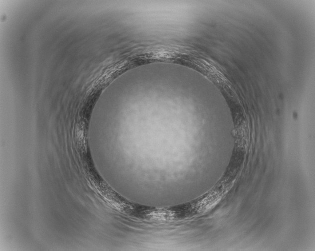 X0000059250415200510171503