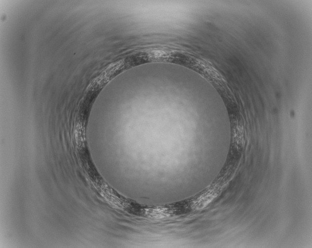 X0000059250419200510171503