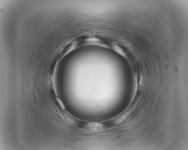X0000059250429200510171502