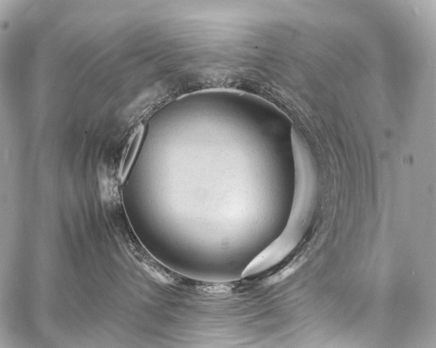 X0000059250432200510171502
