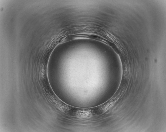 X0000059250469200510171502