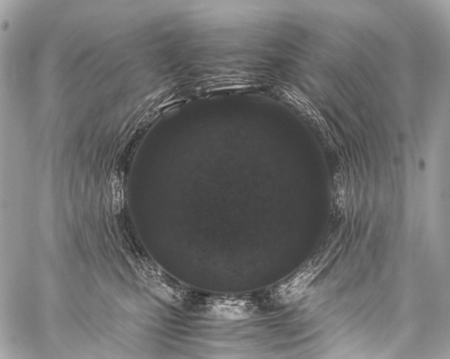 X0000059250471200510171502