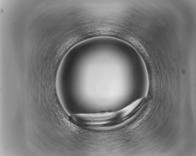 X0000059250481200510171501