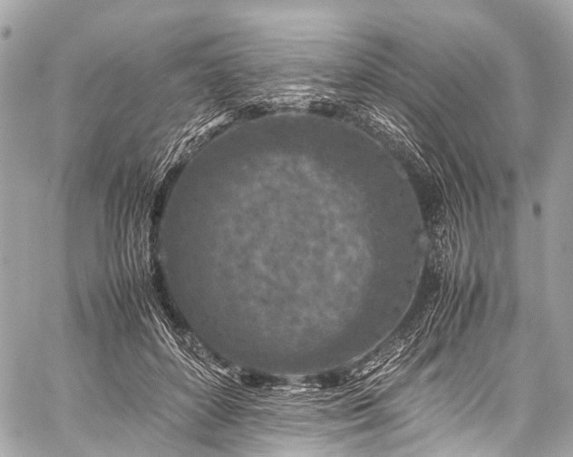 X0000059250504200510171501