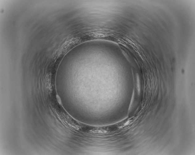 X0000059250512200510171501