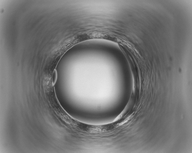 X0000059250521200510171501