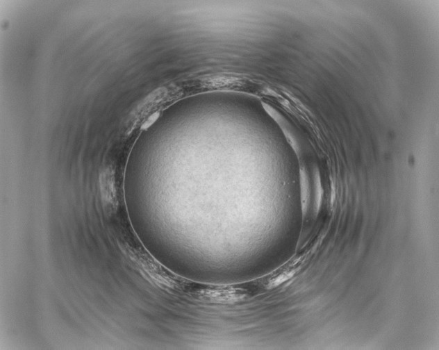X0000059250524200510171501
