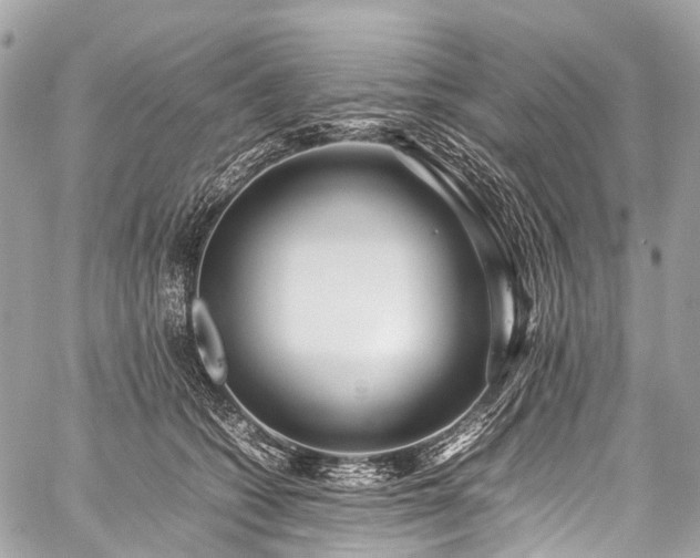 X0000059250562200510171500