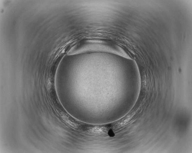 X0000059250566200510171501