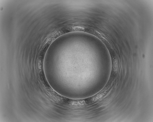 X0000059250571200510171501