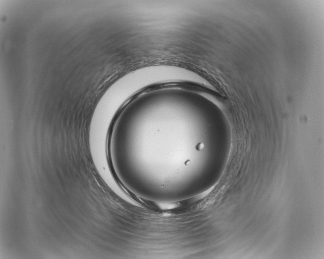 X0000059250576200510171501