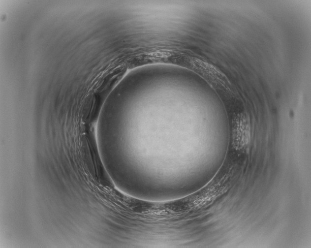 X0000059250608200510171459