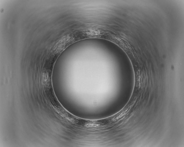 X0000059250614200510171459
