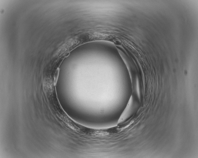X0000059250617200510171459