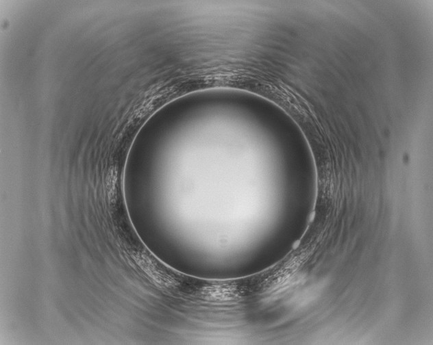 X0000059250660200510171459