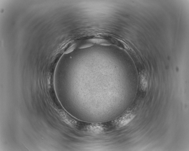 X0000059250668200510171459