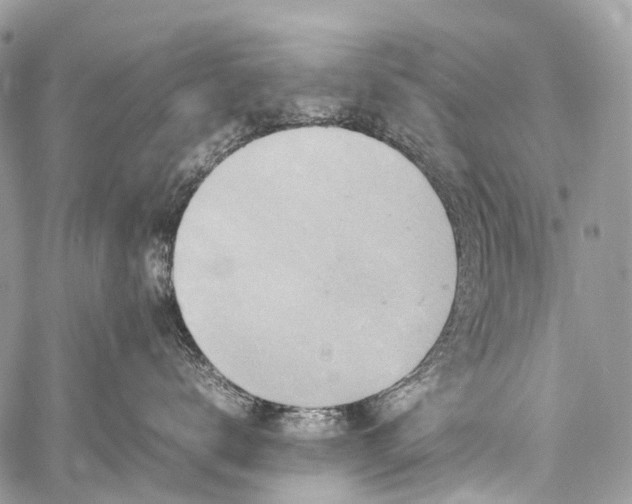 X0000059250672200510171459