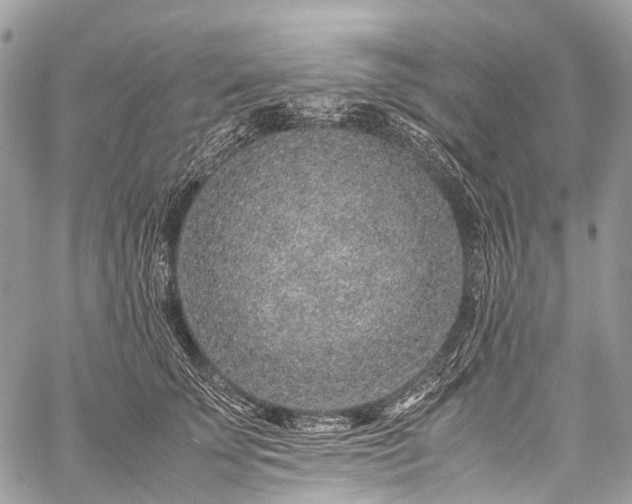 X0000059250707200510171458