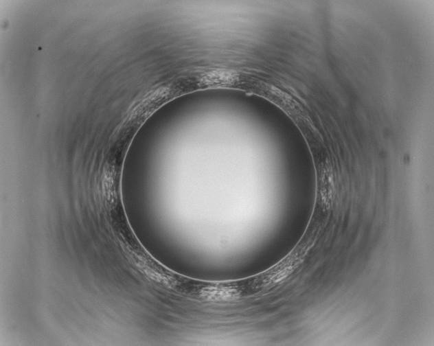 X0000059250714200510171458