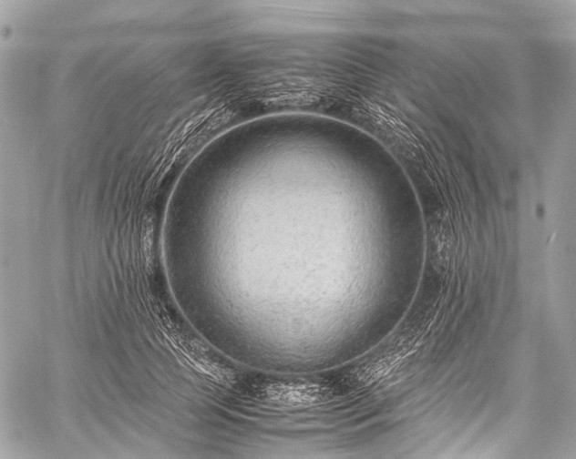 X0000059250745200510171457